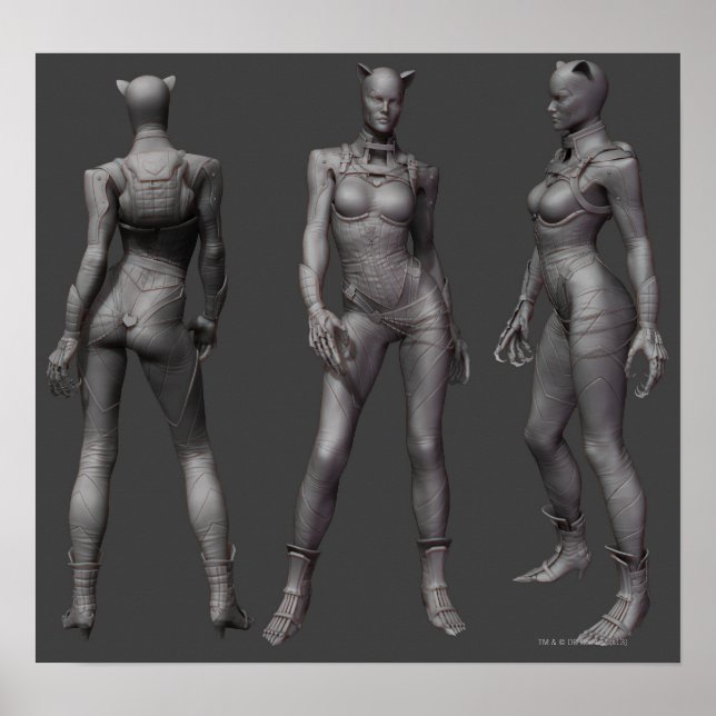 Catwoman Alternate Turnaround Poster (Front)