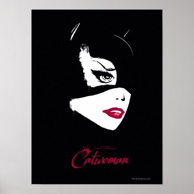 Catwoman Nine Lives Poster (Front)