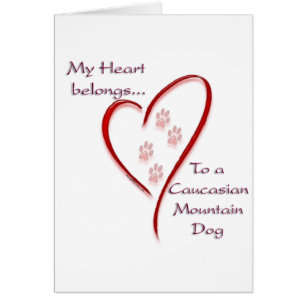 Caucasian Mountain Dog Heart Belongs