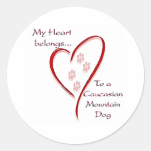 Caucasian Mountain Dog Heart Belongs Classic Round Sticker