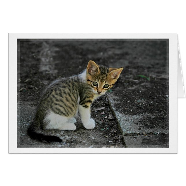 Caught (Front Horizontal)