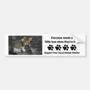 Caught-Animal Shelter Bumper Sticker