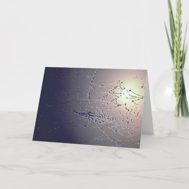 Caught! Card (Front)