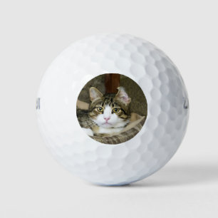 Caught Golf Balls