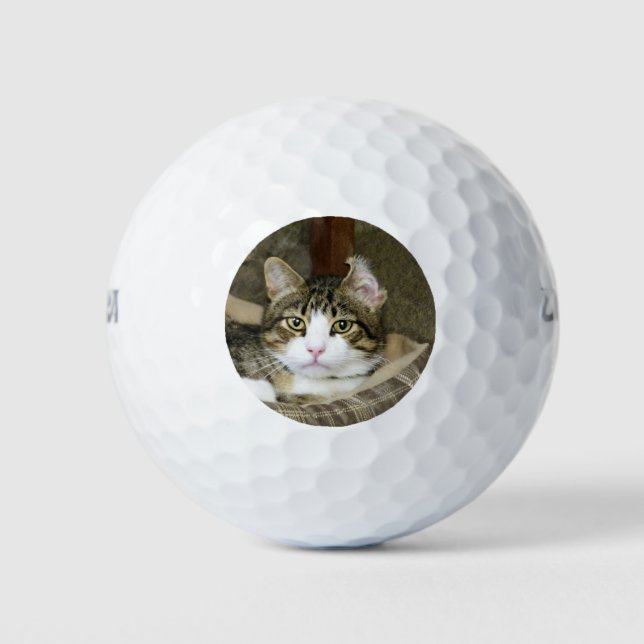 Caught Golf Balls (Front)