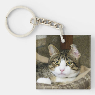 Caught Key Ring