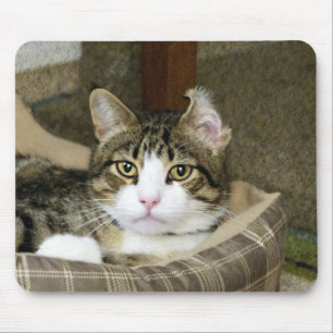Caught Mouse Pad