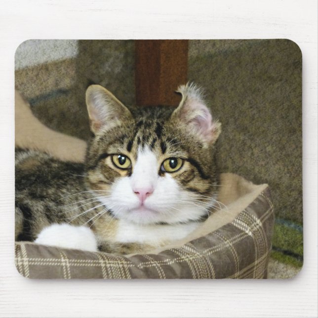 Caught Mouse Pad (Front)