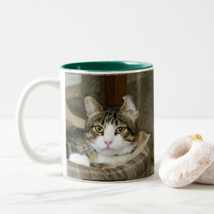 Caught Two-Tone Coffee Mug