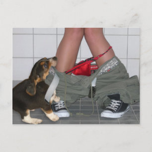 Caught with My Pants Down Again, Cute Puppy Dog Postcard