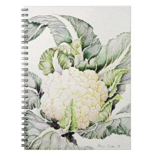 Cauliflower Study 1993 Notebook