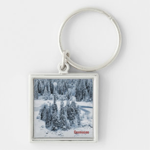 Caumasee Key Ring