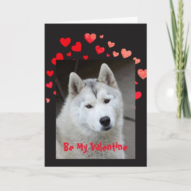 Cause I Woof Love You Husky Dog Valentine Holiday Card (Front)