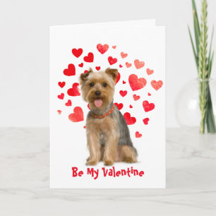 Cause I Woof Love You Yorkie Dog  Valentine Holiday Card