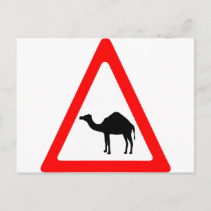 Caution Camel Crossing Traffic Sign Postcard