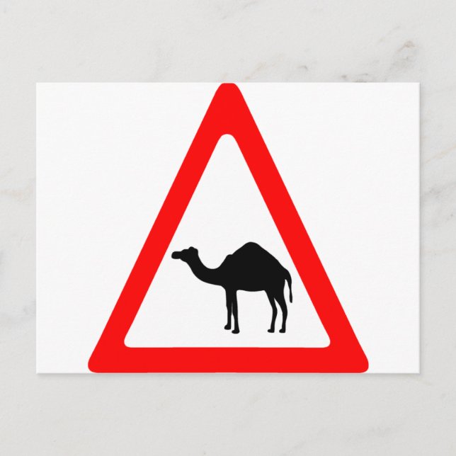 Caution Camel Crossing Traffic Sign Postcard (Front)