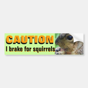 CAUTION: I BRAKE FOR SQUIRRELS bumper sticker