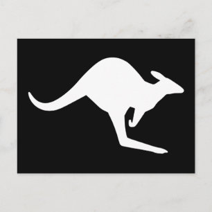 Caution Kangaroo Postcard