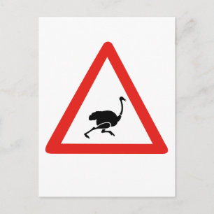 Caution Ostriches 1, Traffic Warning Sign, Namibia Postcard