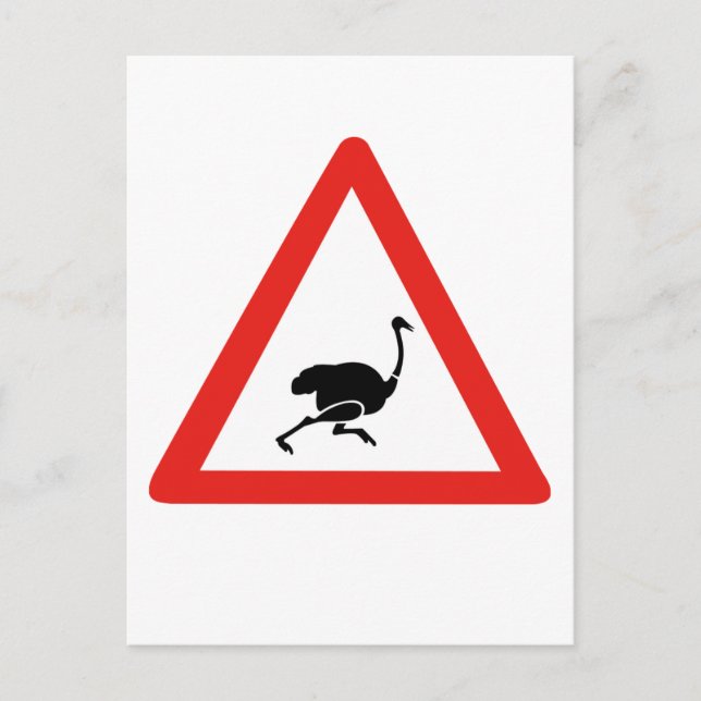 Caution Ostriches 1, Traffic Warning Sign, Namibia Postcard (Front)