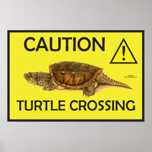 Caution Snapping Turtle Crossing Poster