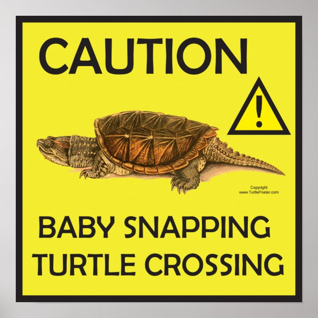 Caution Snapping Turtle Crossing Poster (Front)