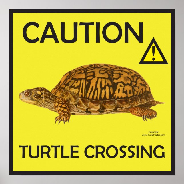 Caution Turtle Crossing Poster (Front)