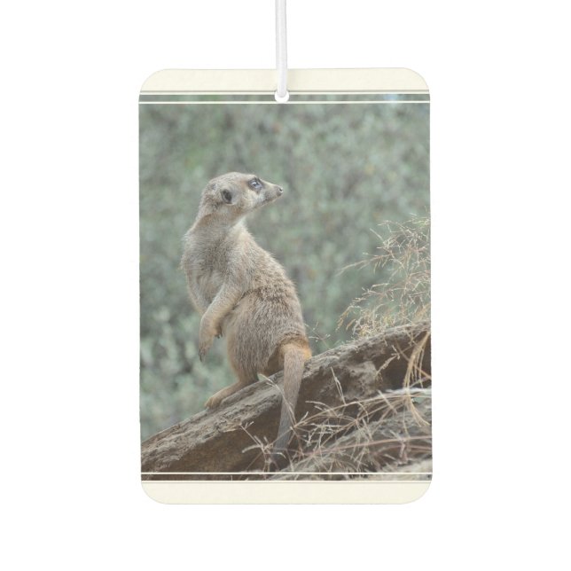 Cautious Meerkat Car Air Freshener (Front)