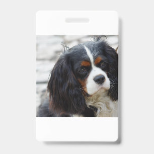 cav 2 ID badge