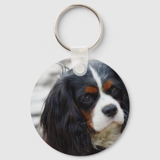 cav 2 key ring (Front)