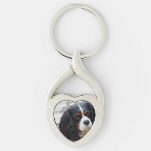 cav 2 key ring