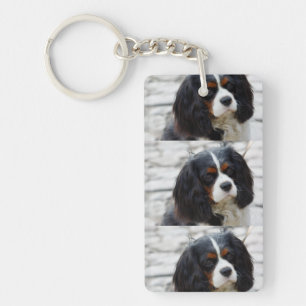 cav 2 key ring