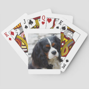 cav 2 playing cards