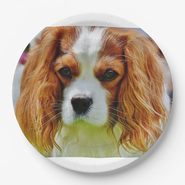 cav blenheim paper plate (Front)