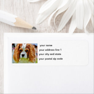 cav blenheim return address label