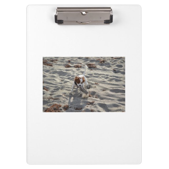 cav on beach clipboard (Front)