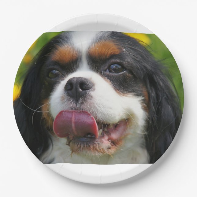 cav paper plate (Front)