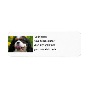 cav return address label