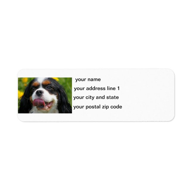 cav return address label (Front)