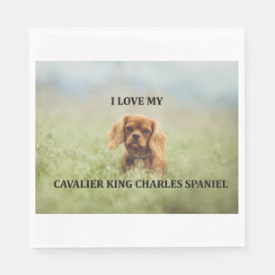 cav ruby love w pic napkin