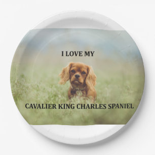 cav ruby love w pic paper plate