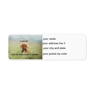 cav ruby love w pic return address label