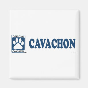 Cavachon Blue Magnet