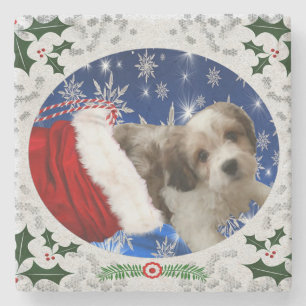 Cavachon Coaster, Christmas Dog Stone Coaster