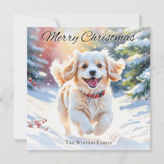 Cavachon Dog In Snow Christmas Holiday Card (Front)