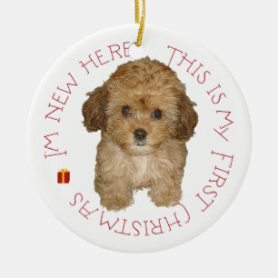 Cavachon Puppy First Christmas Ceramic Tree Decoration