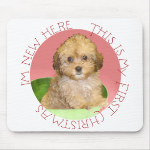 Cavachon Puppy First Christmas Mouse Pad