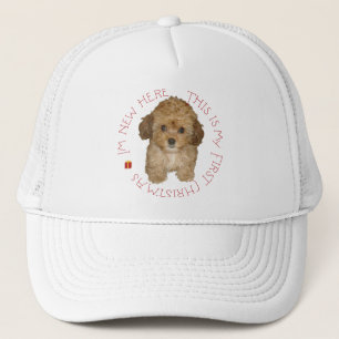 Cavachon Puppy First Christmas Trucker Hat