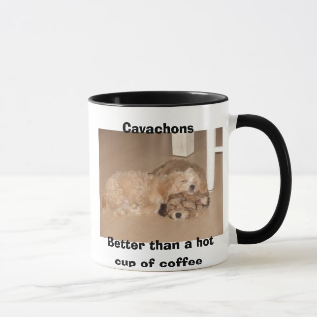 Cavachons better than a hot cup of coffee (Right)
