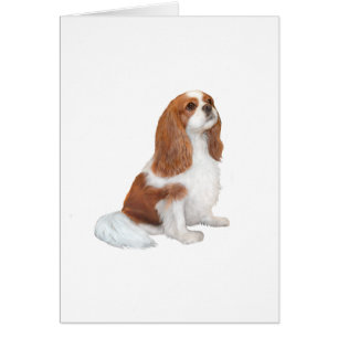 Cavalier A1 - Blenheim (F)